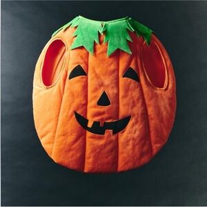 ZARA PUMPKIN COSTUME